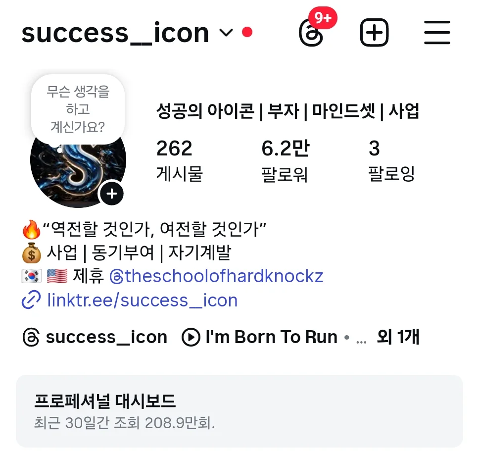 성공의 아이콘 인스타그램, 팔로워 6.2만, 최근 30일 조회 208.9만 회